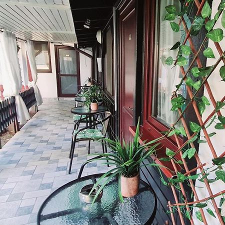 Pensiunea Red Rose Apartments Timisoara Ngoại thất bức ảnh