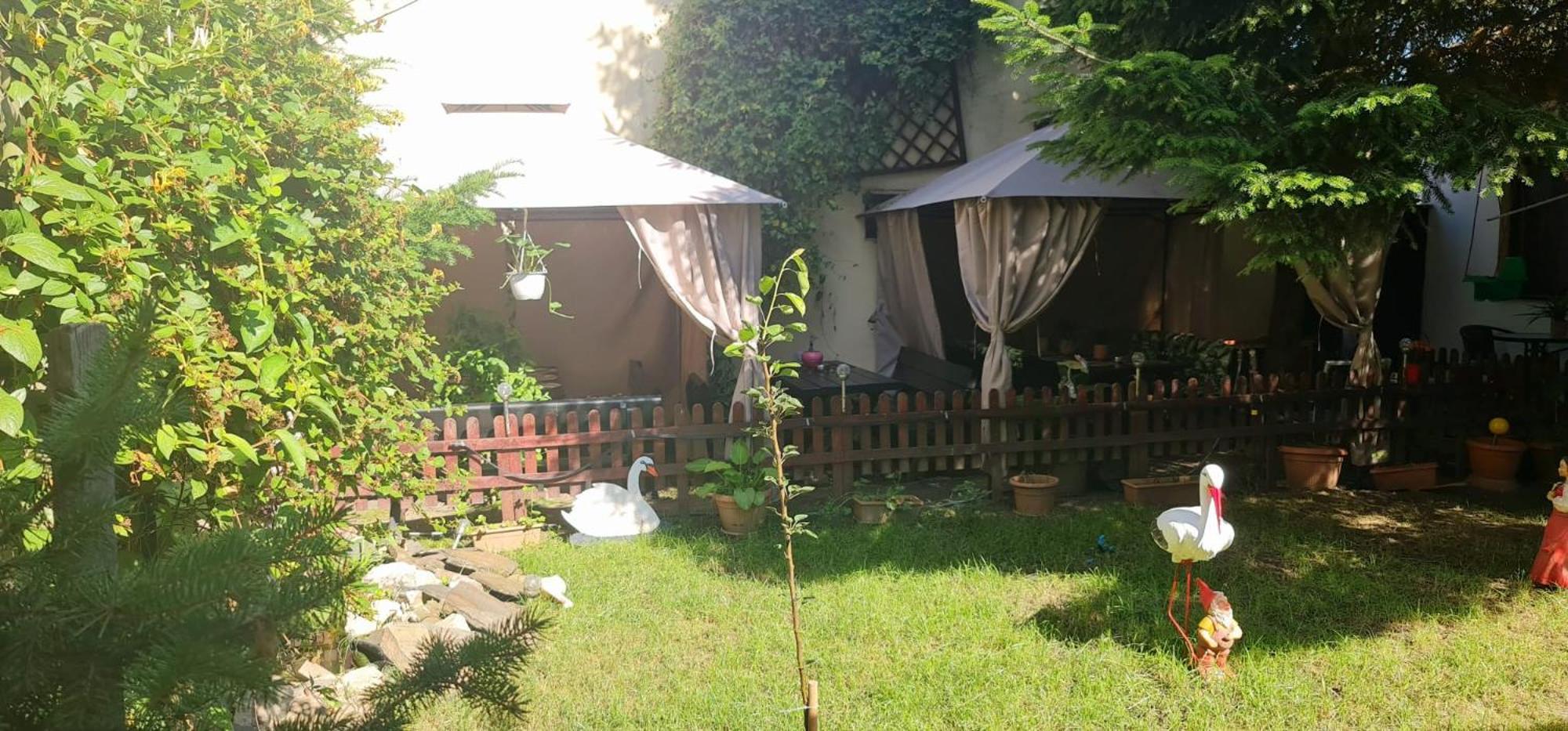Pensiunea Red Rose Apartments Timisoara Ngoại thất bức ảnh