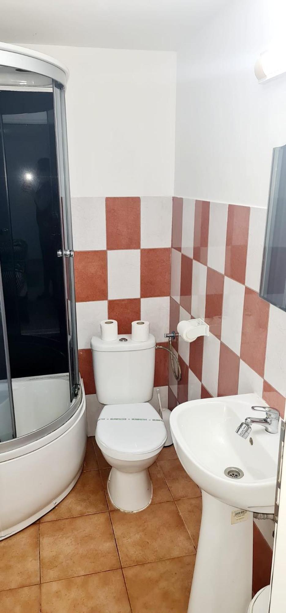 Pensiunea Red Rose Apartments Timisoara Ngoại thất bức ảnh