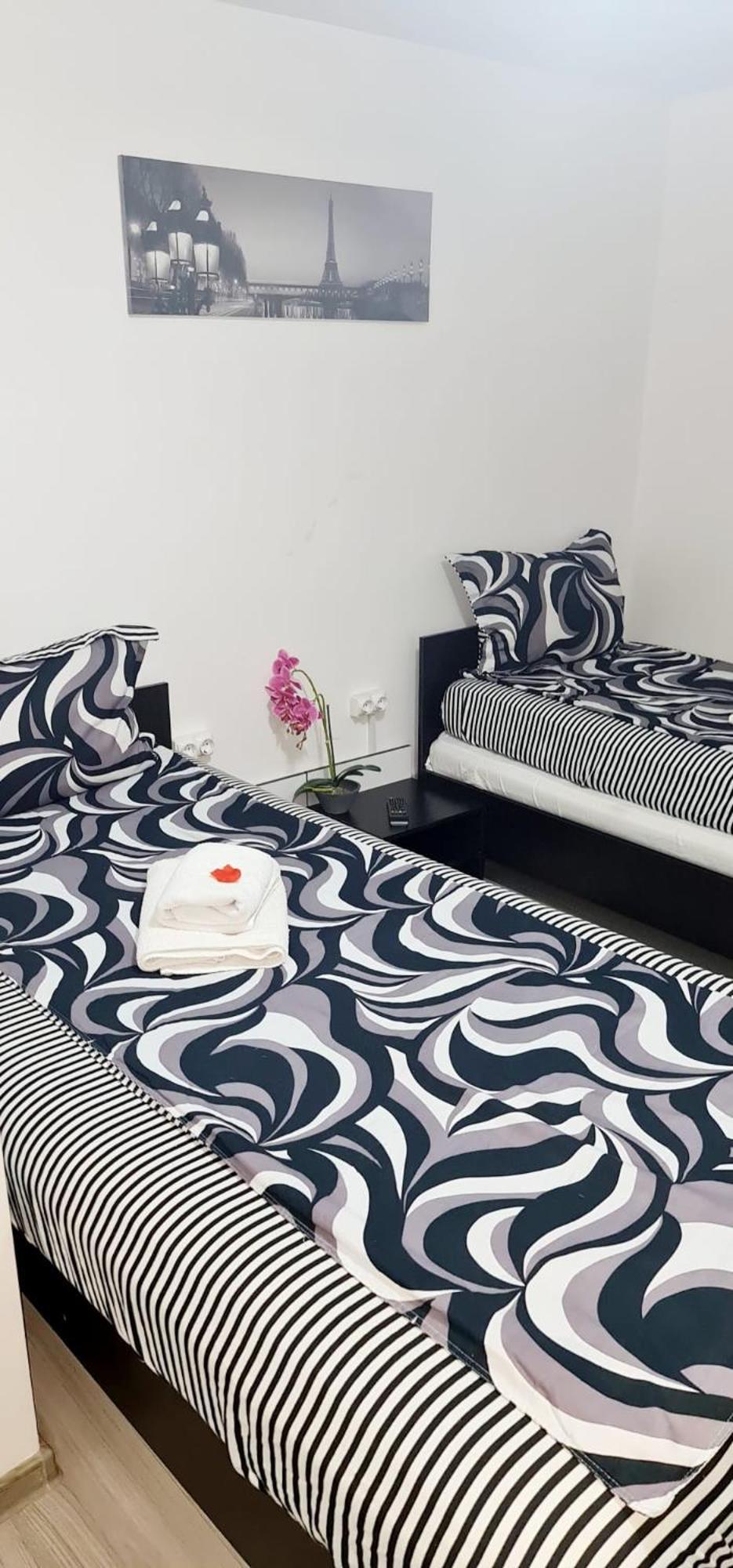 Pensiunea Red Rose Apartments Timisoara Ngoại thất bức ảnh