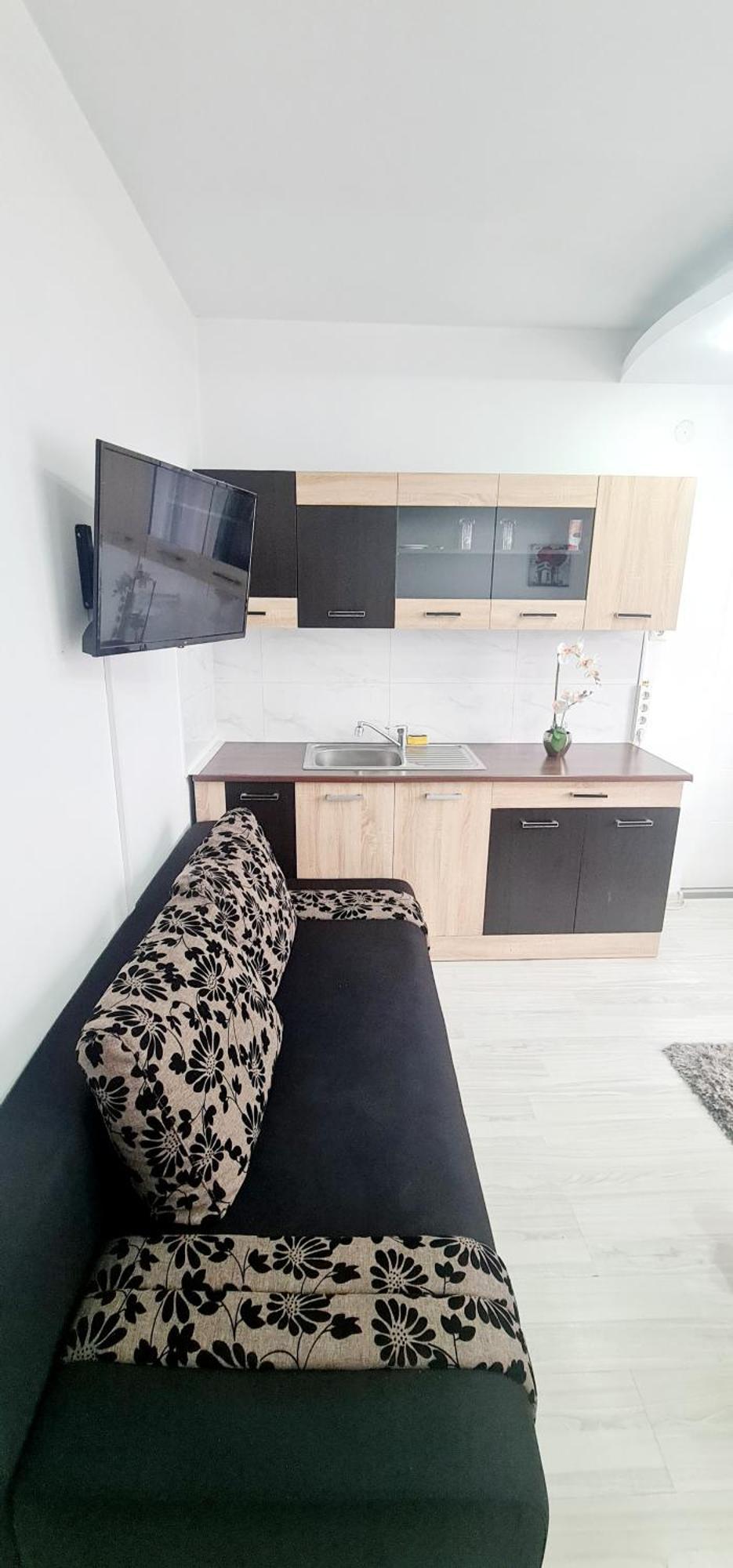 Pensiunea Red Rose Apartments Timisoara Ngoại thất bức ảnh