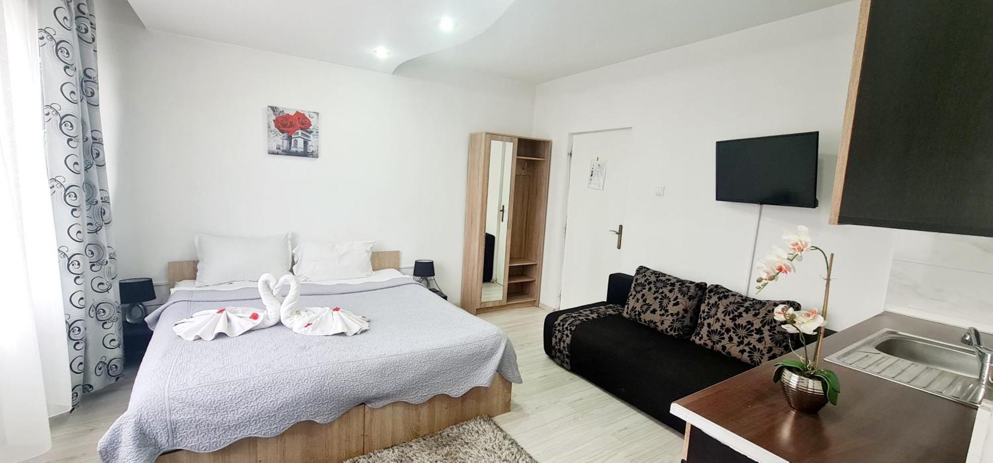 Pensiunea Red Rose Apartments Timisoara Ngoại thất bức ảnh