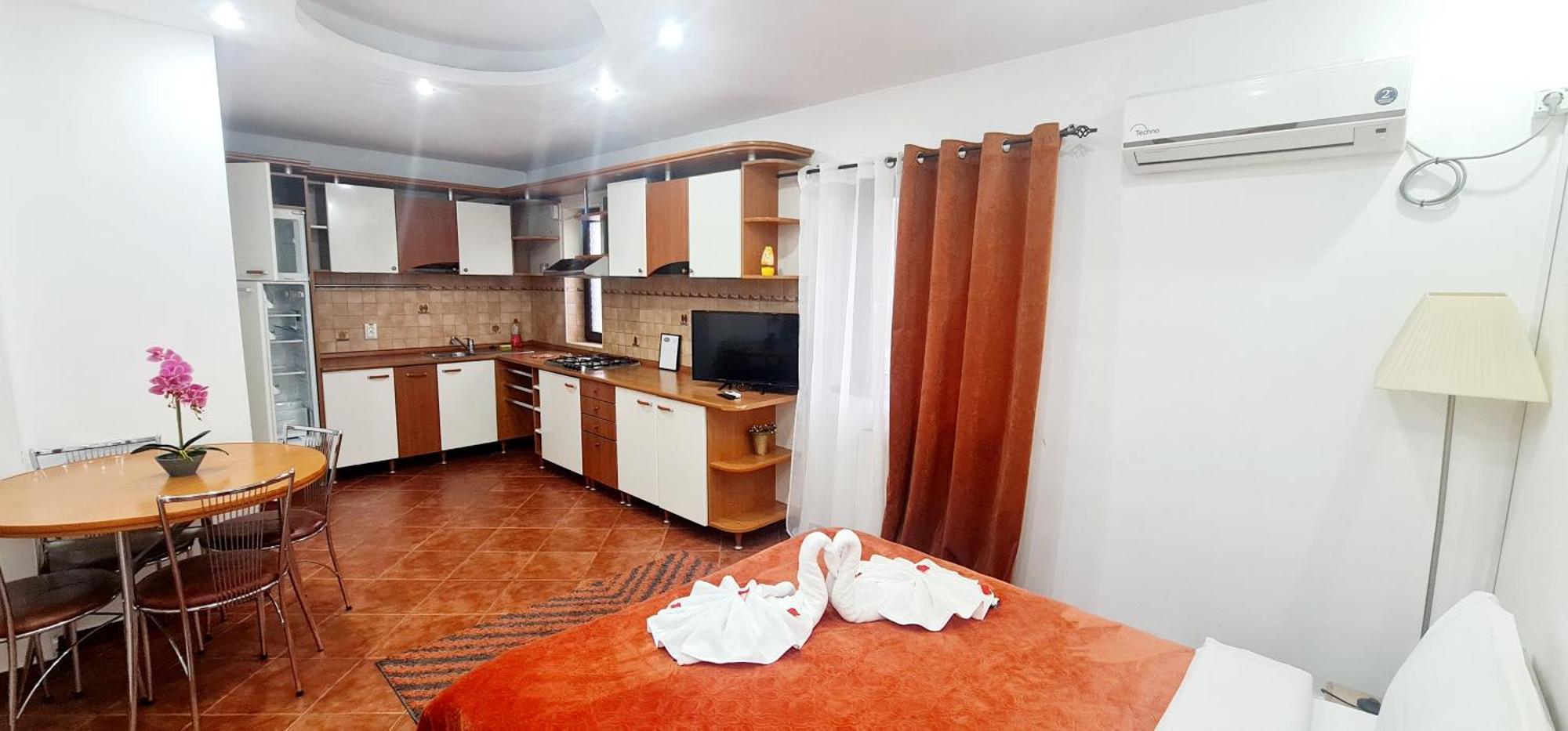 Pensiunea Red Rose Apartments Timisoara Ngoại thất bức ảnh