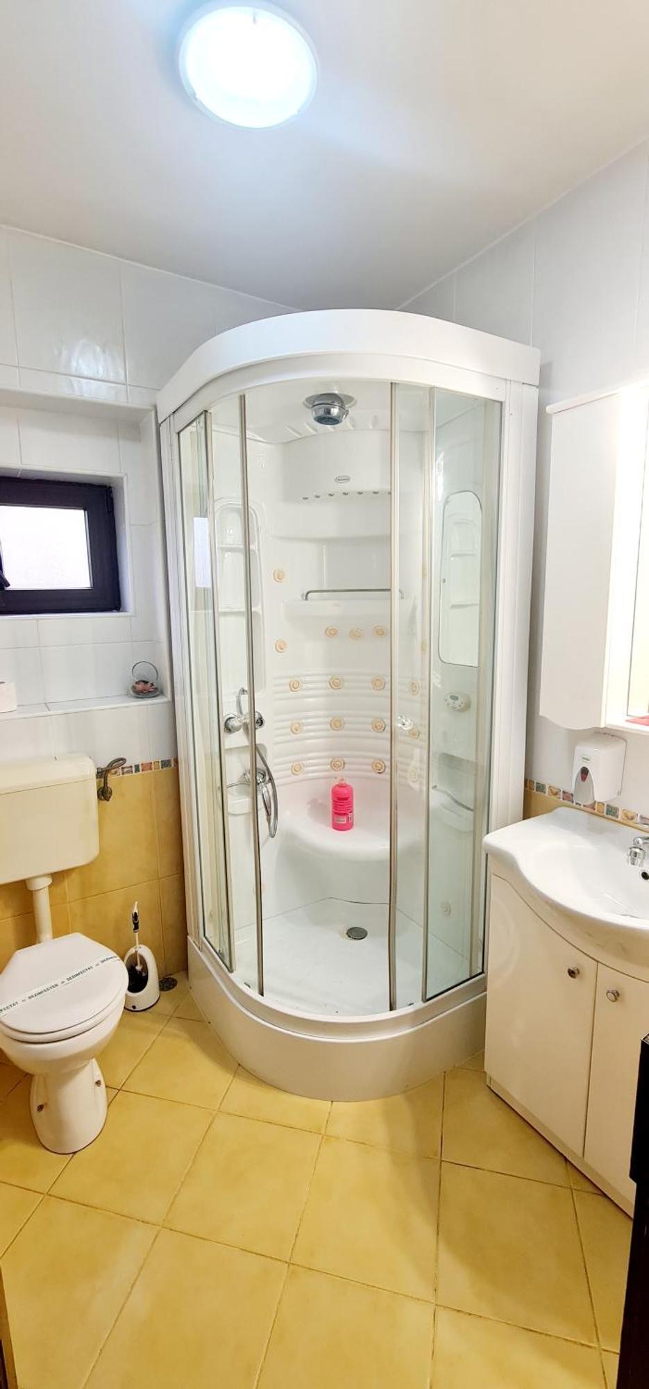 Pensiunea Red Rose Apartments Timisoara Ngoại thất bức ảnh