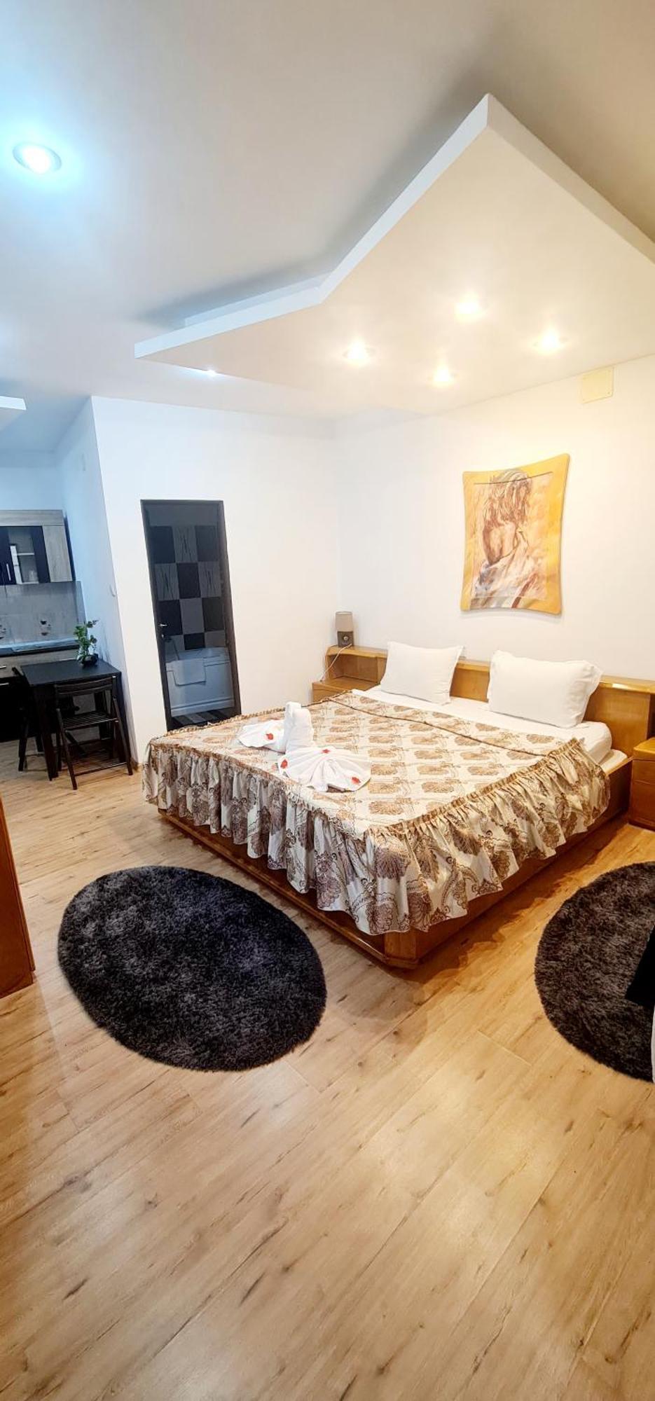 Pensiunea Red Rose Apartments Timisoara Ngoại thất bức ảnh