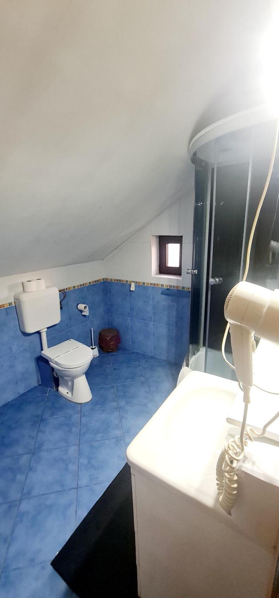 Pensiunea Red Rose Apartments Timisoara Ngoại thất bức ảnh